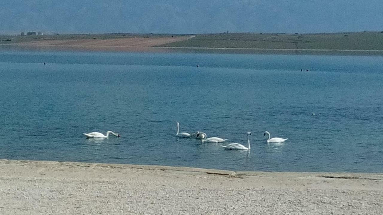 Apartmani Babić Vir Bagian luar foto